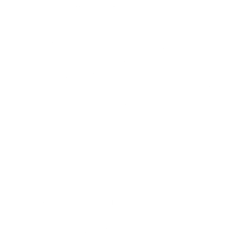 skink